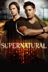 Supernatural: Temporada 8